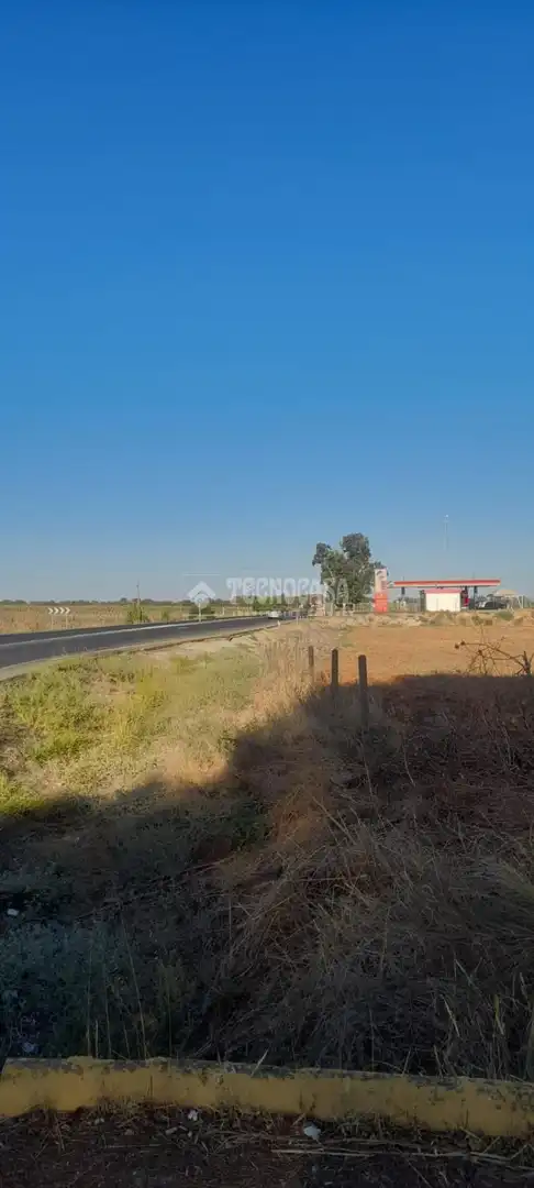 Finca rústica en venta en Aznalcázar