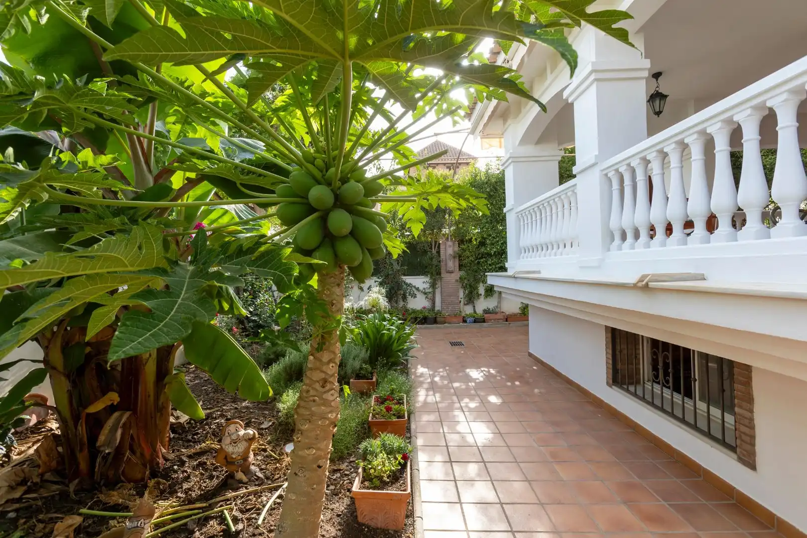 Terraza de Casa o chalet en venta en Motril con Calefacción, Jardín privado y Terraza