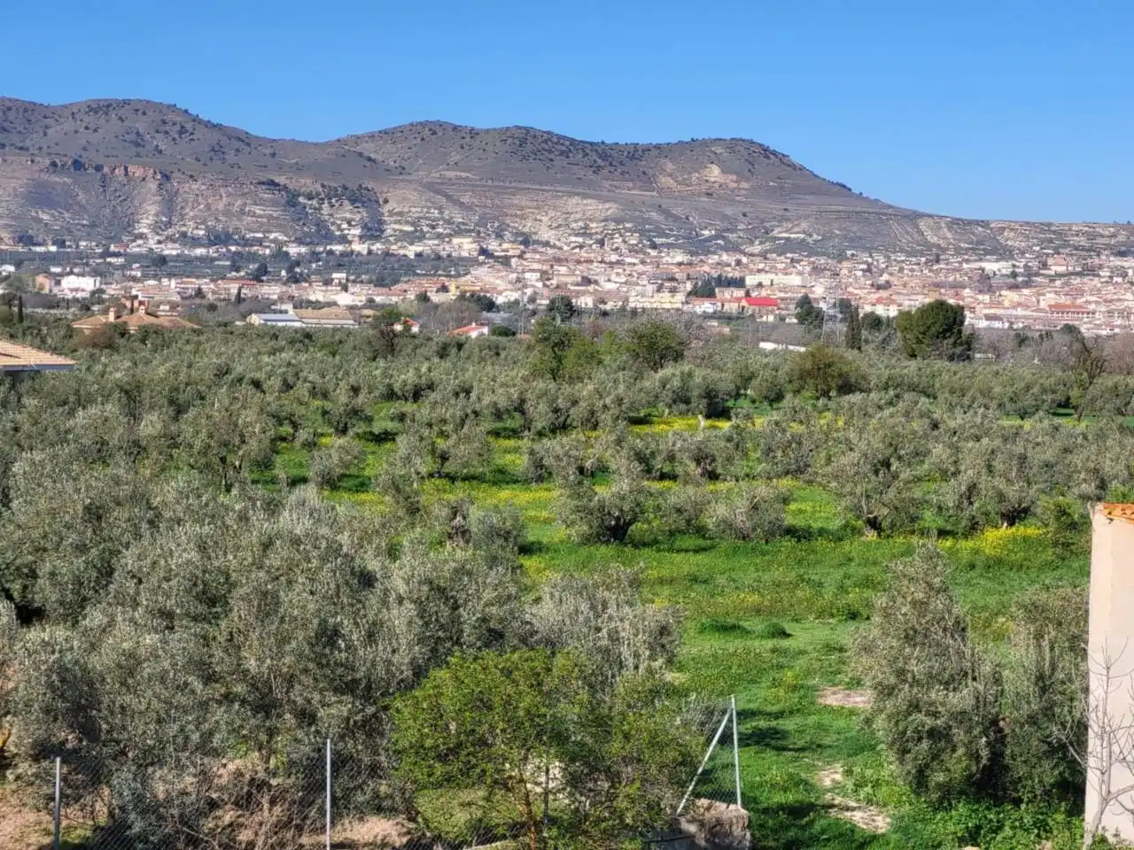 Casa o xalet en venda en Baza amb Terrassa