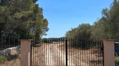 Un terreno edificable de ensueño cerca de Manacor