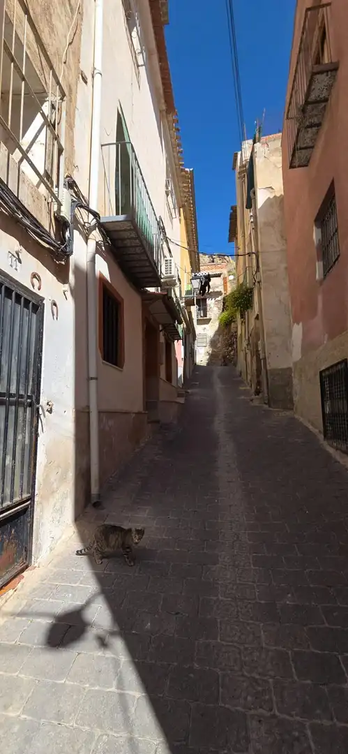 Casa en venda a Blanca, imagen 10
