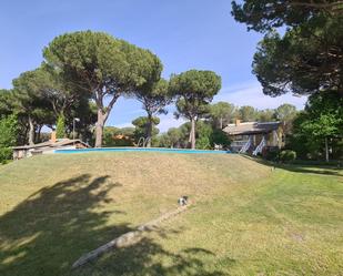 Jardí de Casa o xalet en venda en Villabáñez amb Piscina