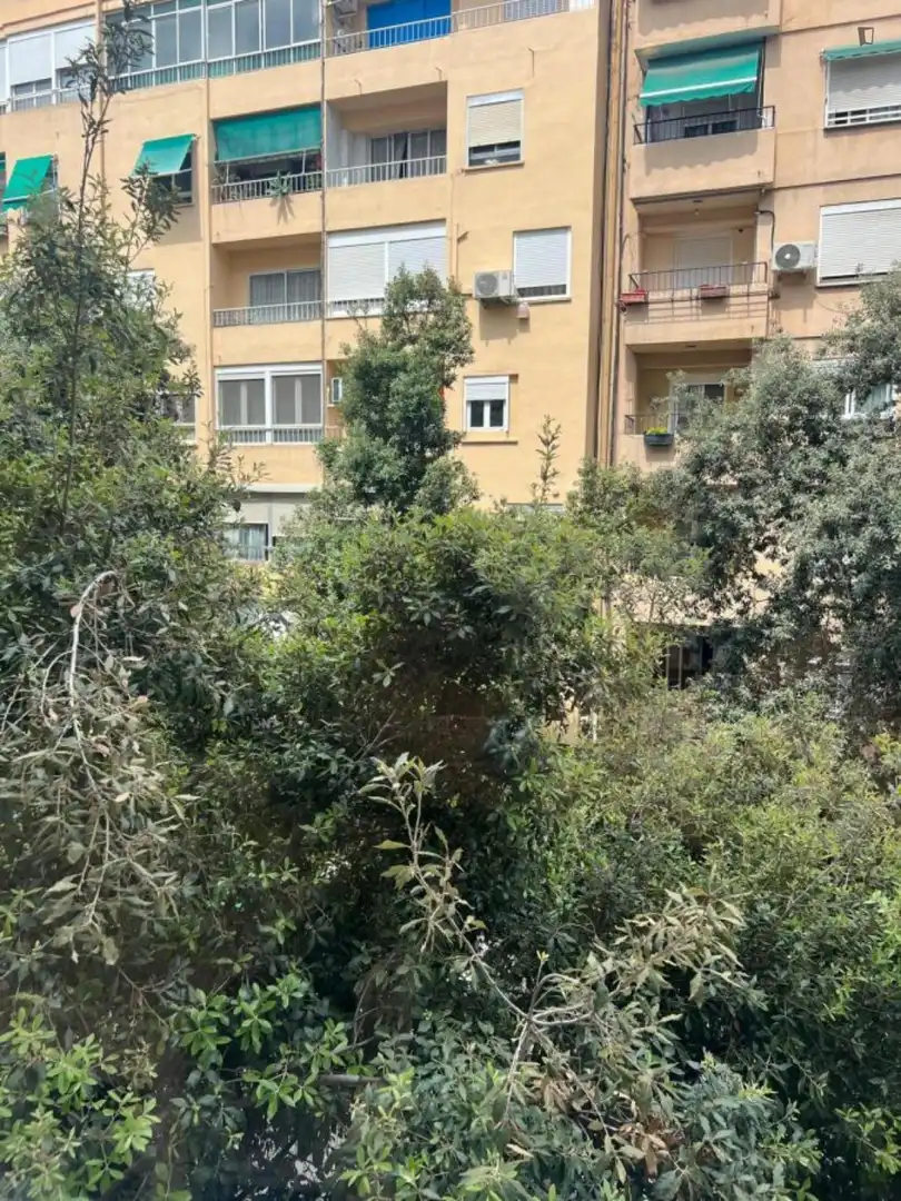 Apartamento de alquiler en Trinitat