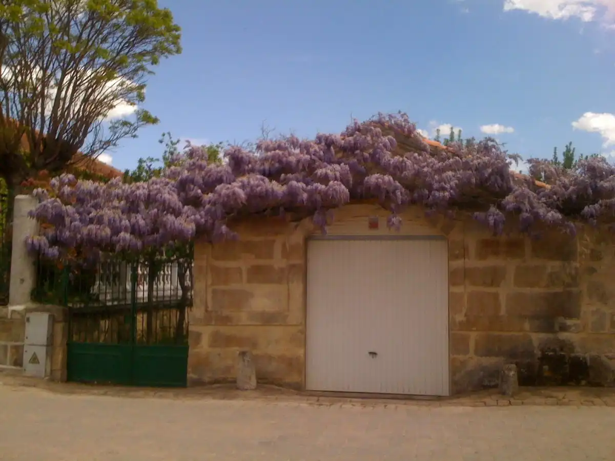 Jardín de Casa o chalet en venta en Valverdón con Trastero y Piscina
