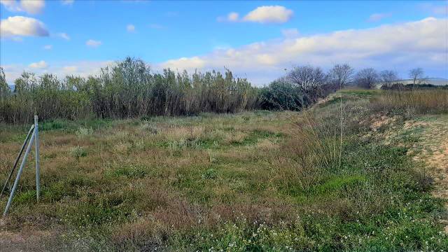 Terreno residencial en Venta en 5. Parcela  en Alfarrasí