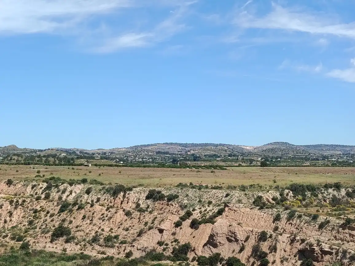 Lands and plots for sale in Mula, imagen 21