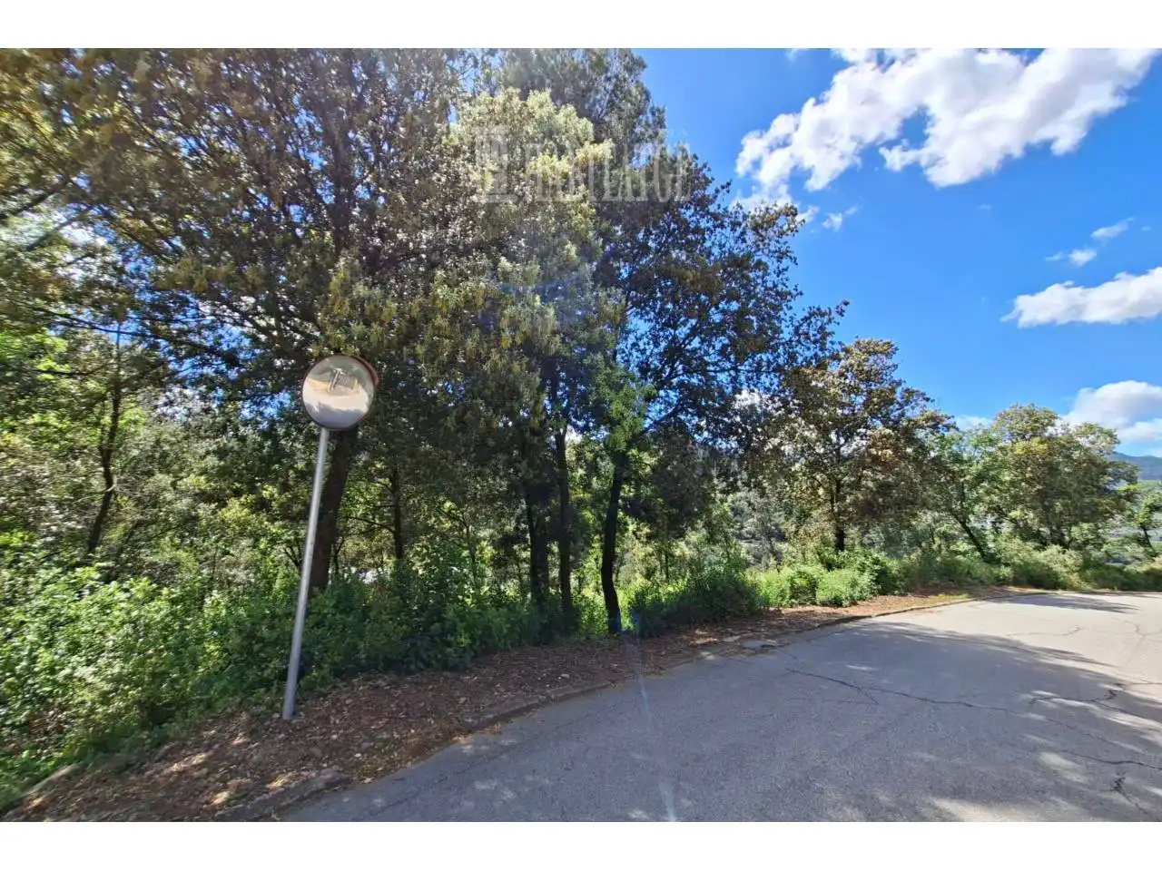 Terreno rustico in vendita a Calle Maria Fortuny, imagen 3
