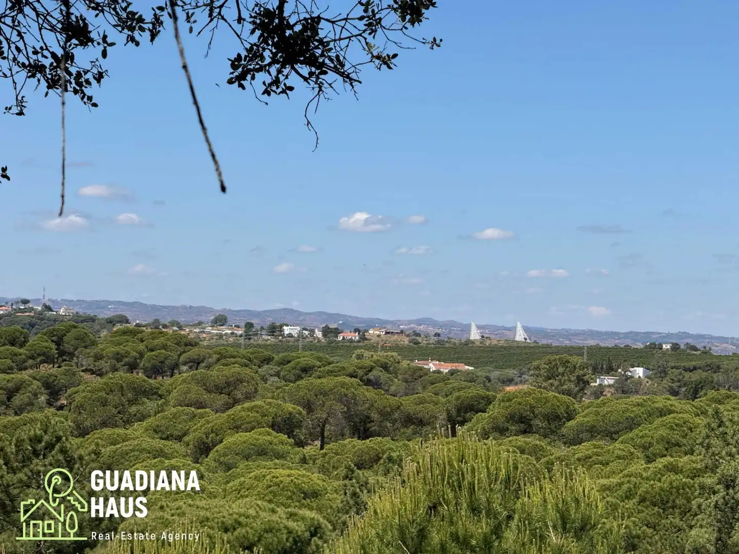 Vista exterior de Finca rústica en venda en Ayamonte