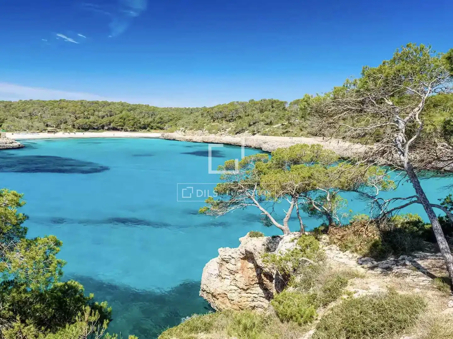 Villa avec piscine à vendre à Cala Vinyes, imagen 19