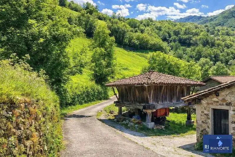 Vista exterior de Casa o chalet en venta en Teverga