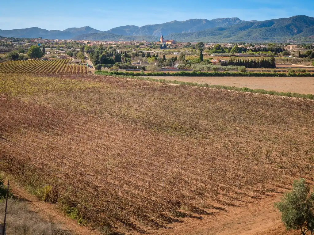 Terreny rústic en venda a Santa María del Camí, imagen 7