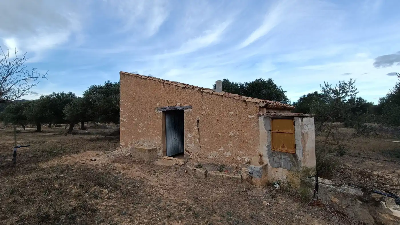 Terrain rustique à vendre à Rasquera, imagen 6