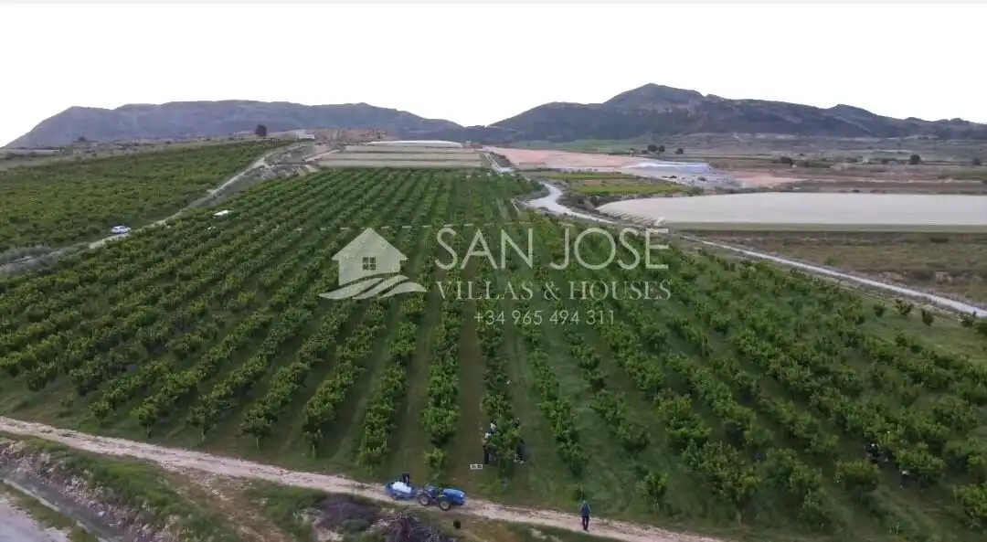 Terreno residencial en venta en Monforte del Cid, imagen 11