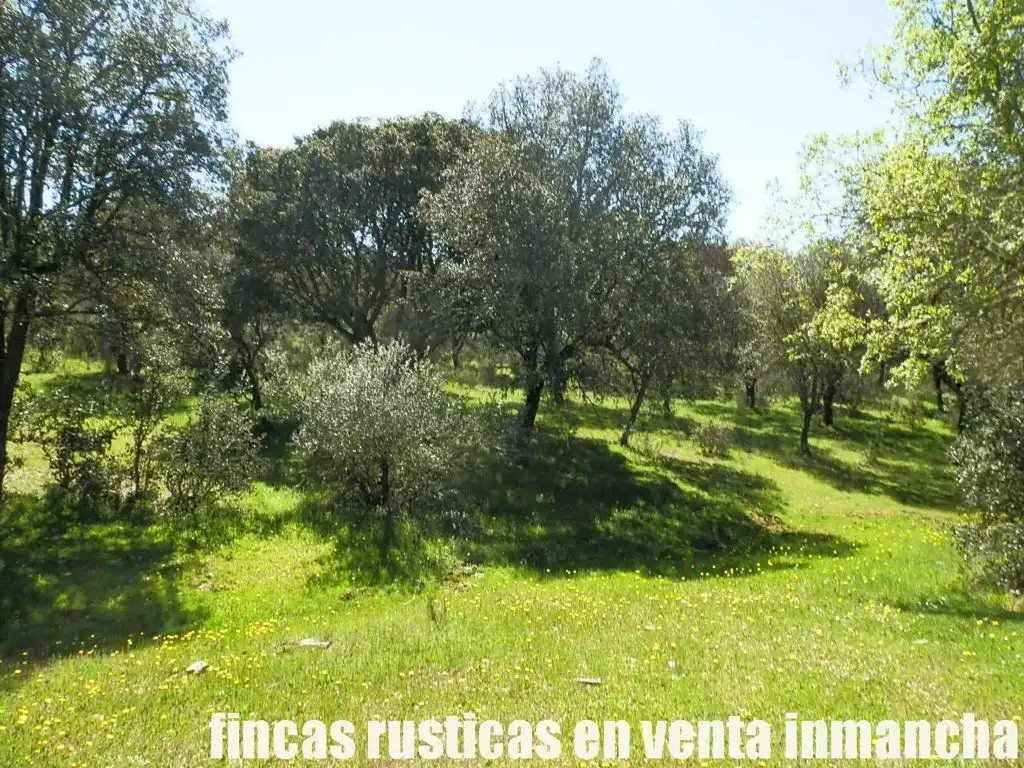 Terreno rustico in vendita a Ciudad Rodrigo, imagen 16