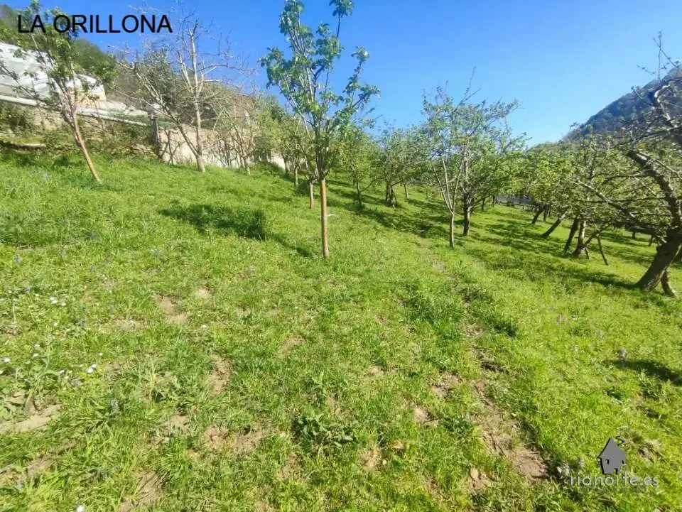 Terreno rustico in vendita a San Martín del Rey Aurelio, imagen 9