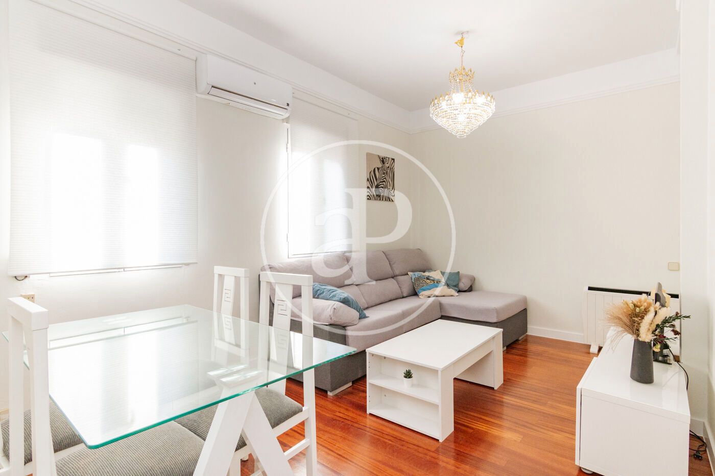Living room of Flat to rent in  Madrid Capital  with Air Conditioner, Heating and Furnished