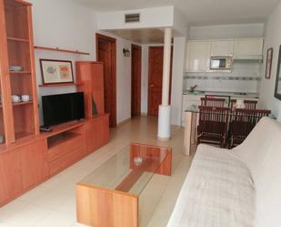 Living room of Flat for sale in El Ejido  with Air Conditioner, Terrace and Furnished