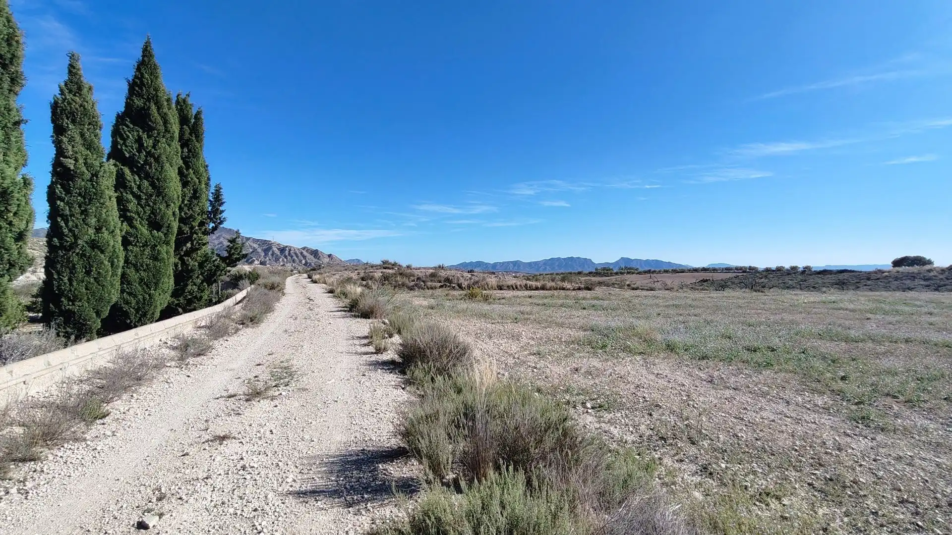 Lands and plots for sale in Abanilla