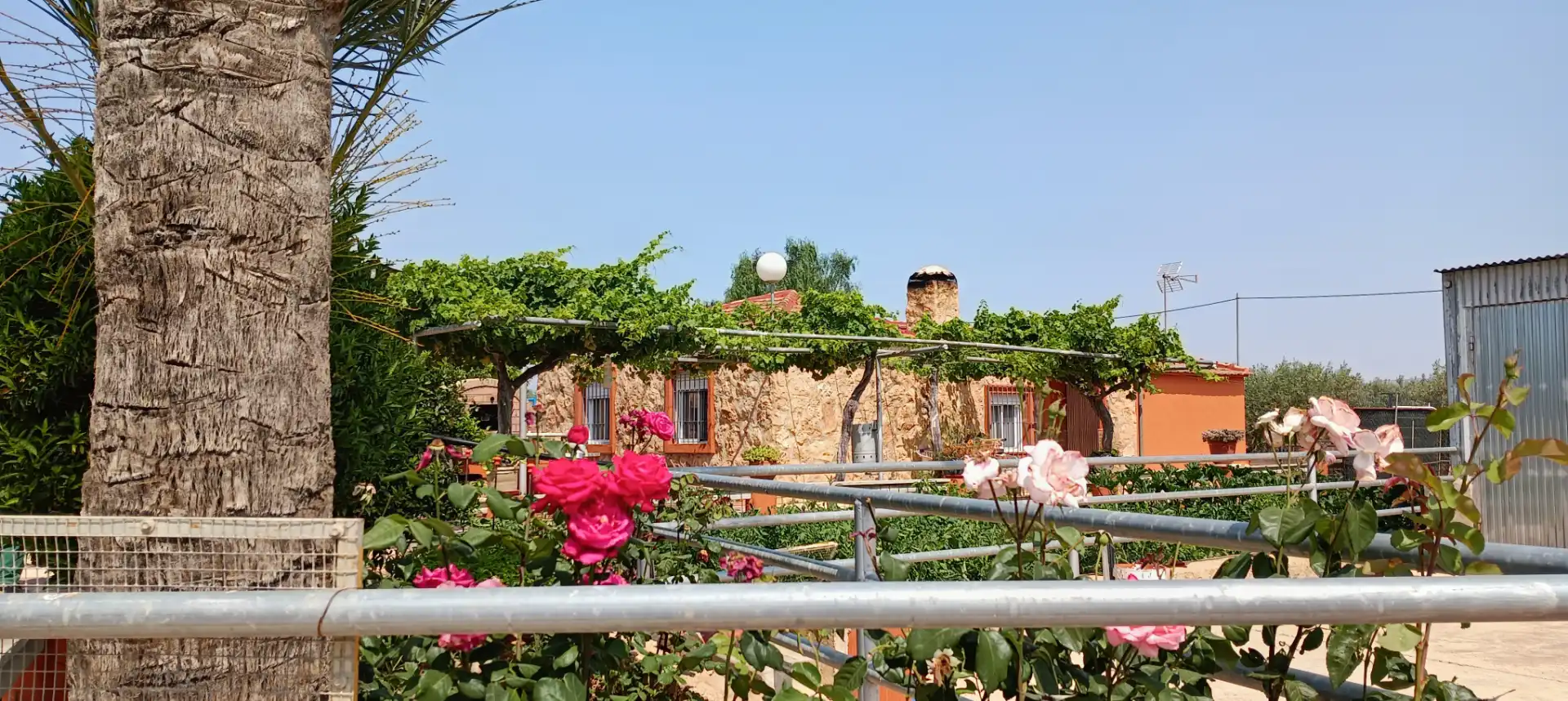 Jardí de Finca rústica en venda en Fuente Álamo de Murcia amb Aire condicionat, Calefacció i Jardí privat