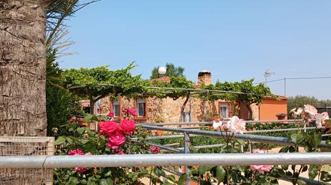 Foto 2 de Finca rústica en venda a Las Cánovas - Cuevas de Reyllo, Murcia