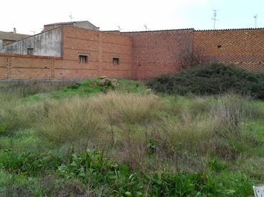 Rural land for sale in Albalate de Cinca