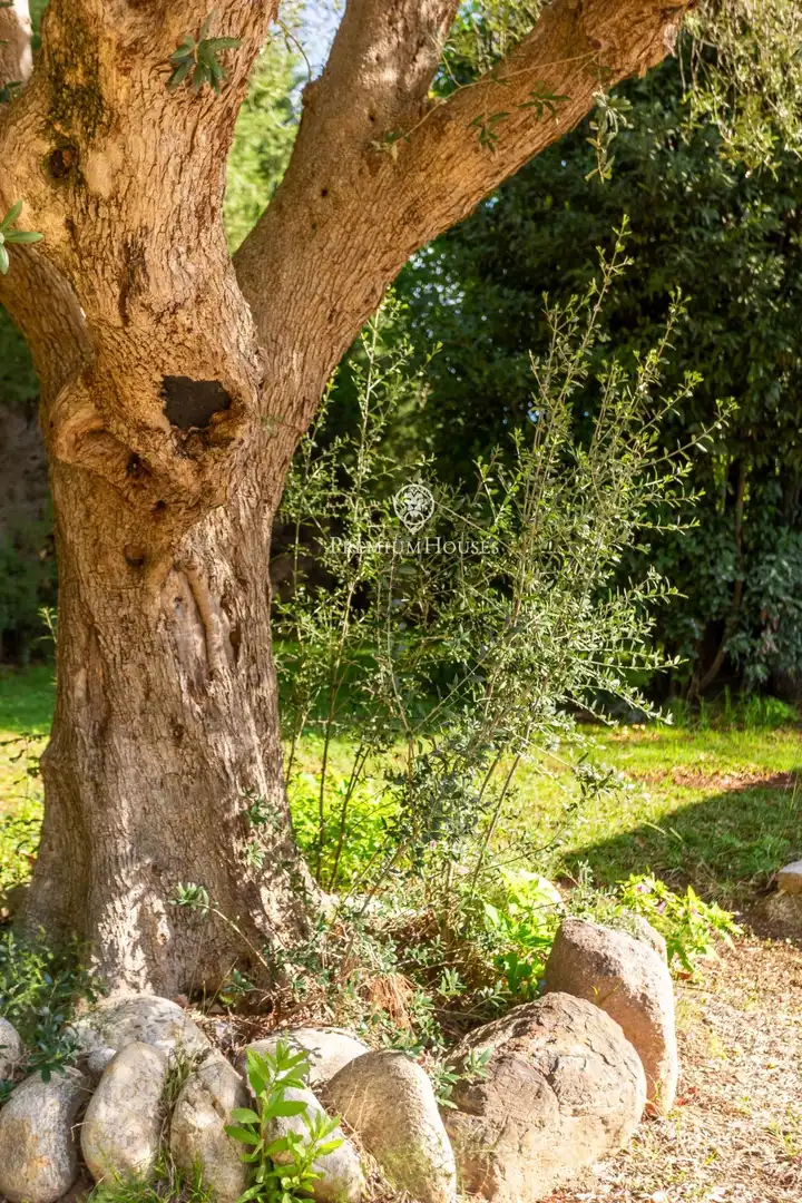 Jardín de Casa o chalet en venta en Cardedeu, Barcelona