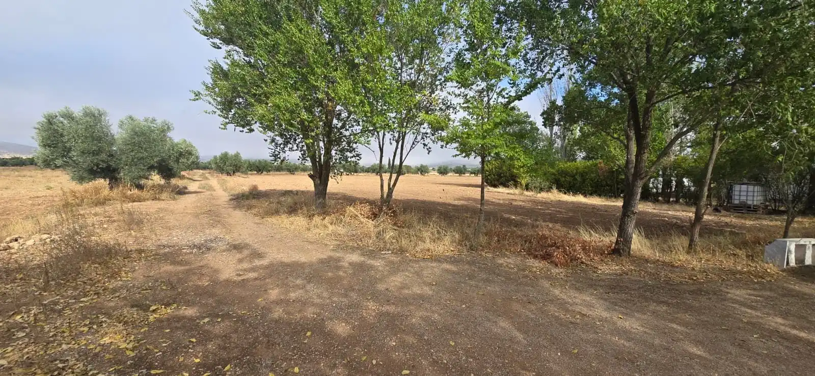Country homes for sale in Villamayor de Calatrava