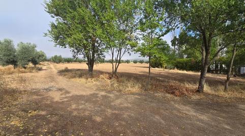 Photo 3 of Country house for sale in Villamayor de Calatrava, Ciudad Real