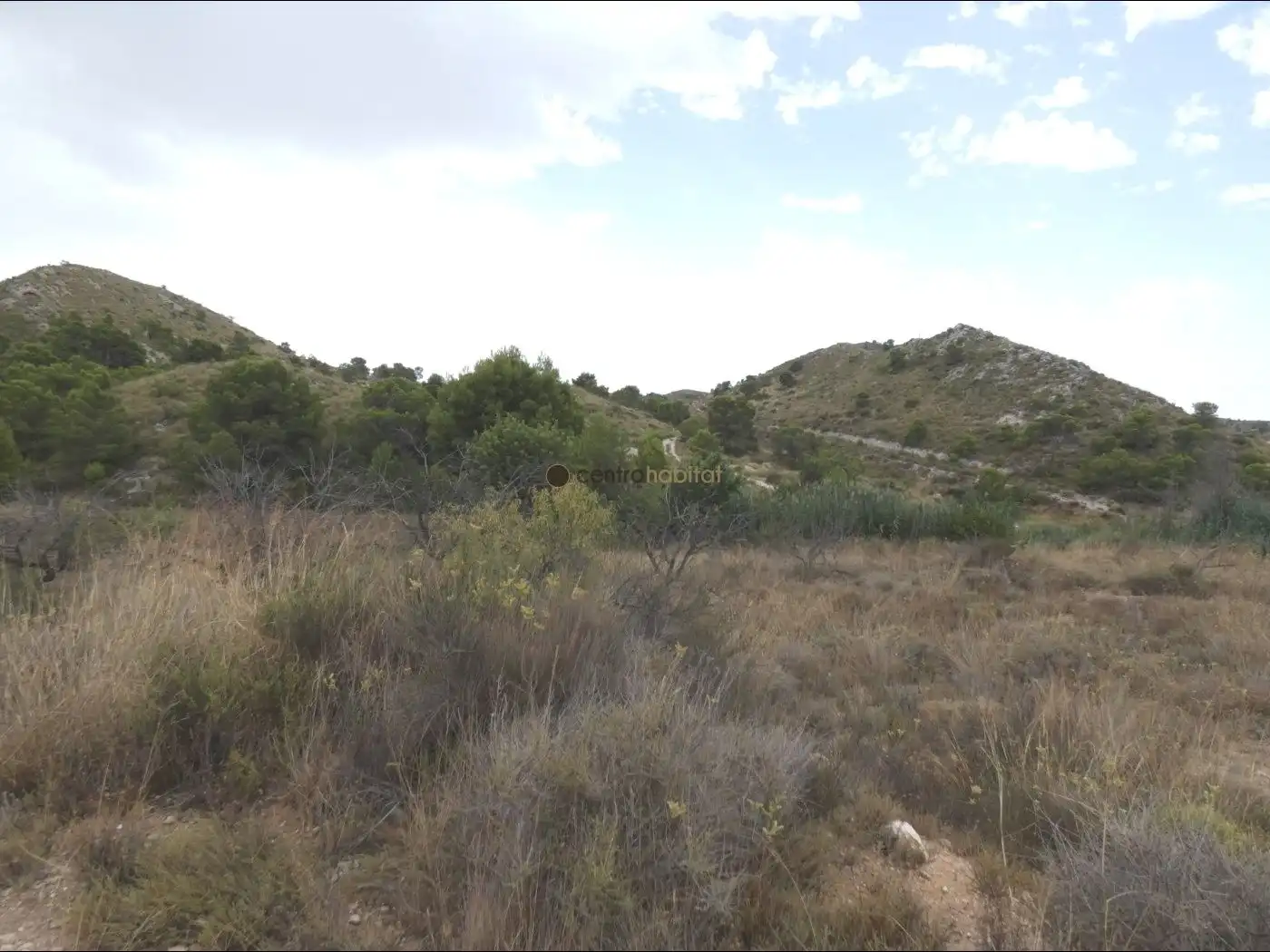 Terreno rustico in vendita a Petrer, imagen 5