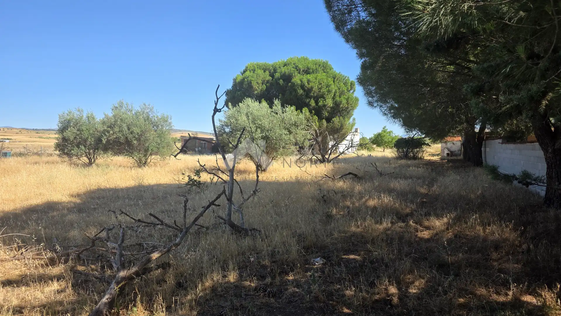Casa rústica en venta en El Molar (Madrid), imagen 16
