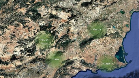 Solvia Inmobiliaria  Suelo Rústico Lorca, imagen 5