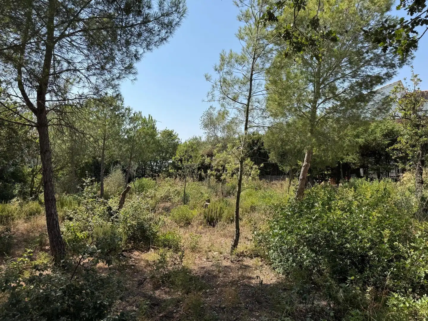 Residential land for sale in DE L'EUCALIPTUS 40, imagen 13