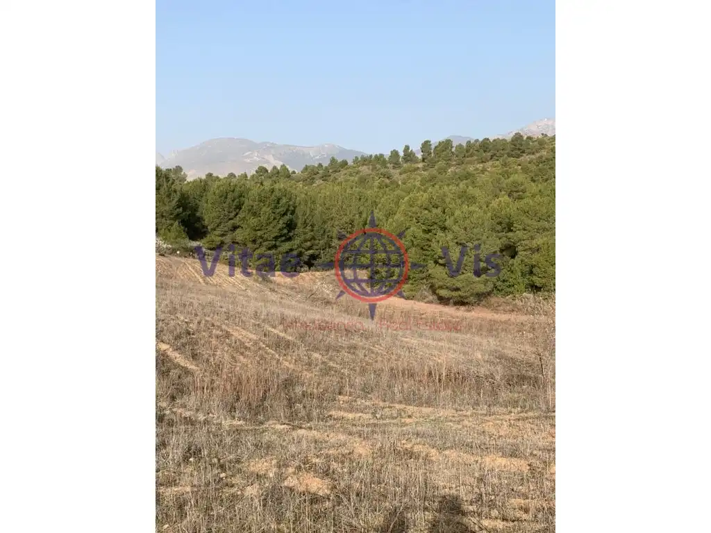 Residential land for sale in Travesia Fuensanta 01, imagen 3