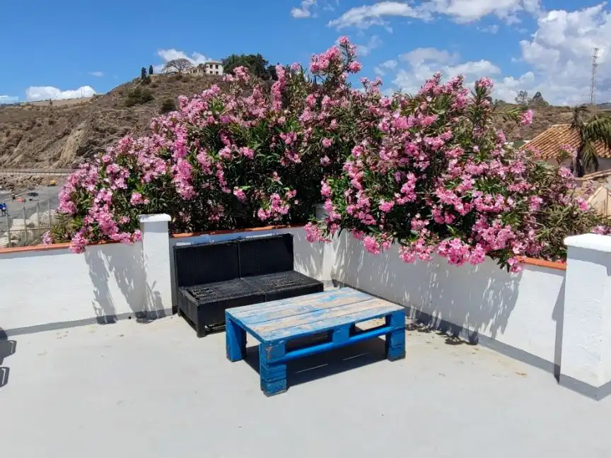 Casa amb jardí en venda a N-340 4, imagen 18