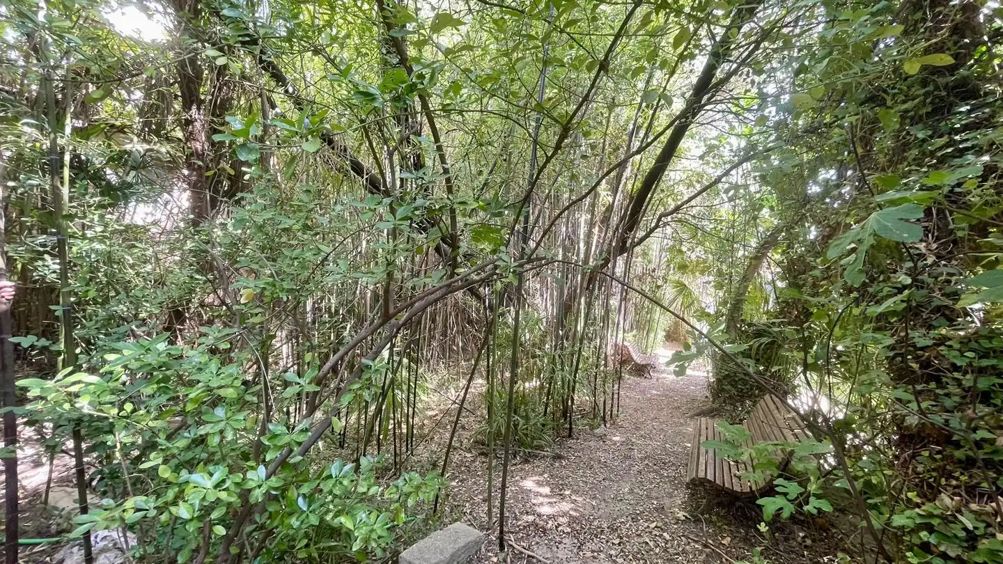 Haus mit Garten zum Verkauf in La Parra, imagen 20