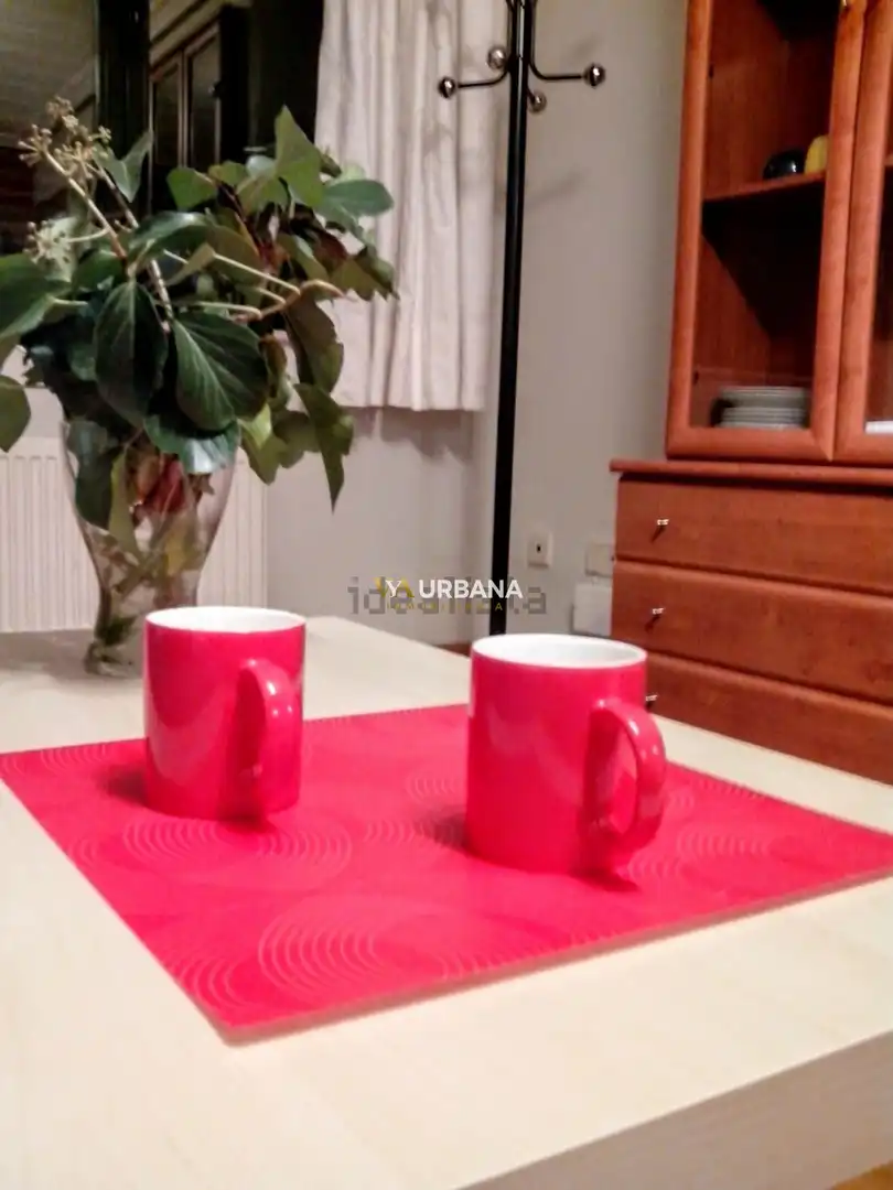 Apartament amb ascensor de lloguer a TEJARES, imagen 8