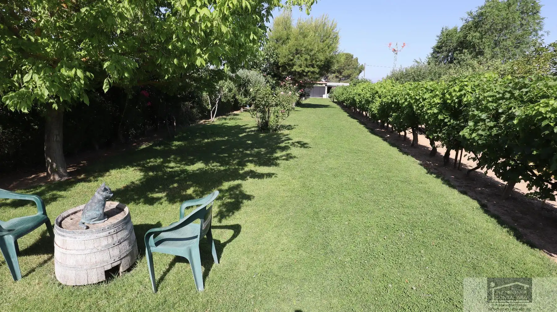 Jardín de Casa o chalet en venta en Fuente El Saz de Jarama con Calefacción, Terraza y Trastero