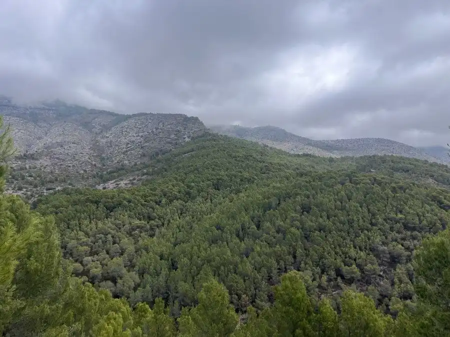 Terrenys i solars en venda a Callosa d'en Sarrià, imagen 6
