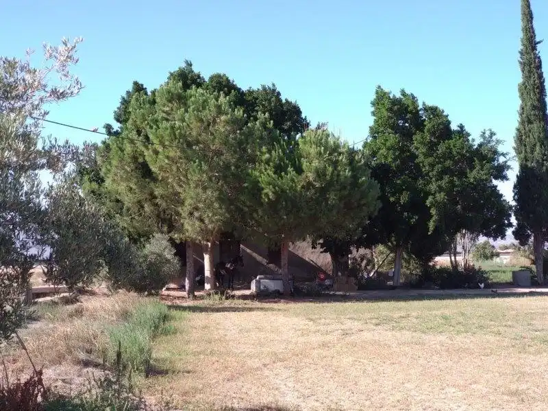 Landhaus zum Verkauf in Callosa de Segura, imagen 29