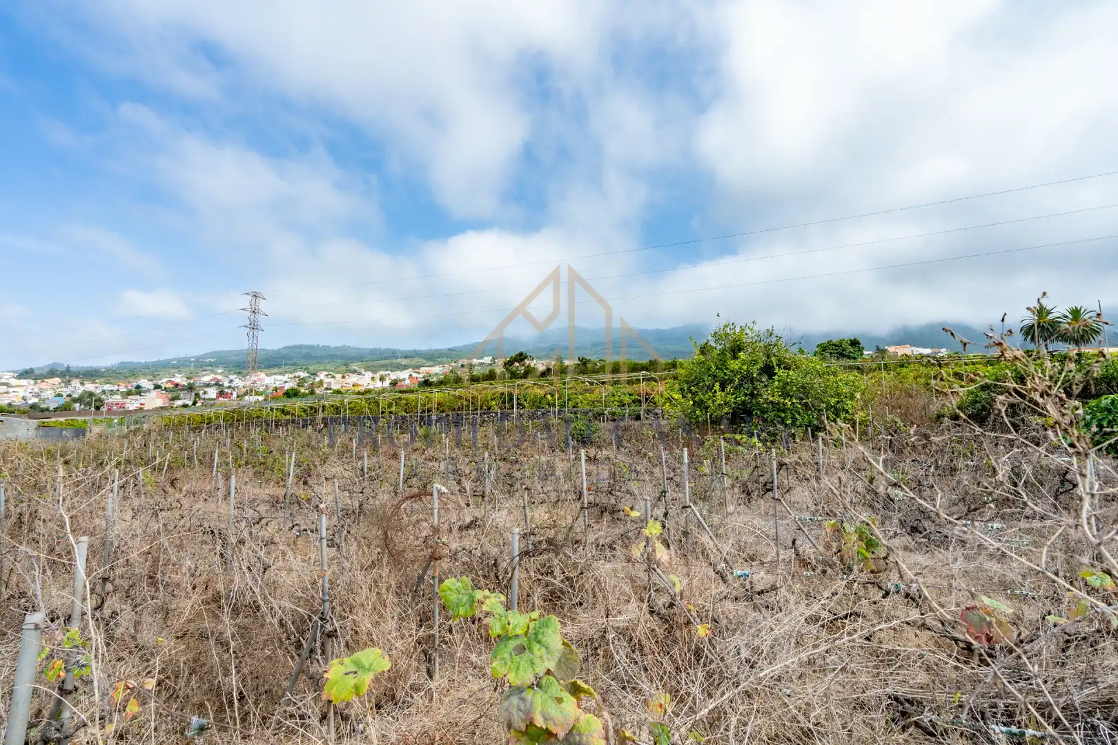 Terreno residencial en venta en Calle Vista Alegre 3, imagen 25
