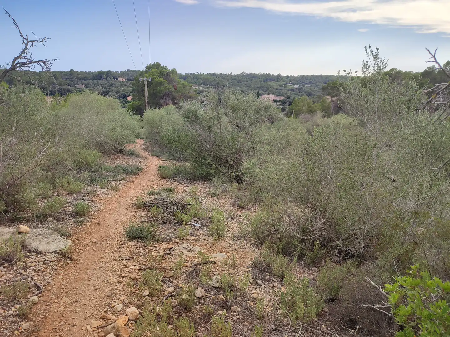 Terrain rustique à vendre à Sant Joan, imagen 9