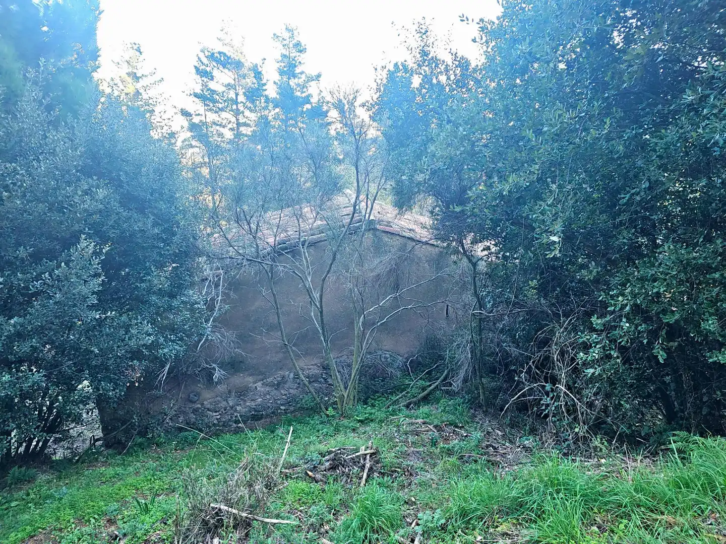 Casa rústica amb jardí en venda a Riells i Viabrea, imagen 27