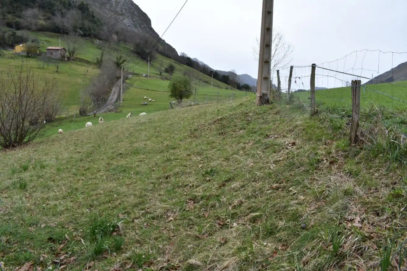 FINCA EDIFICABLE A 15 KM DE CANGAS DE ONIS, imatge 4