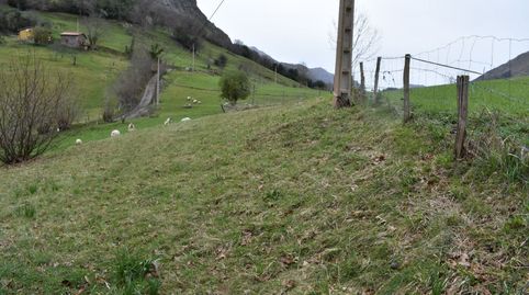 FINCA EDIFICABLE A 15 KM DE CANGAS DE ONIS, imatge 4