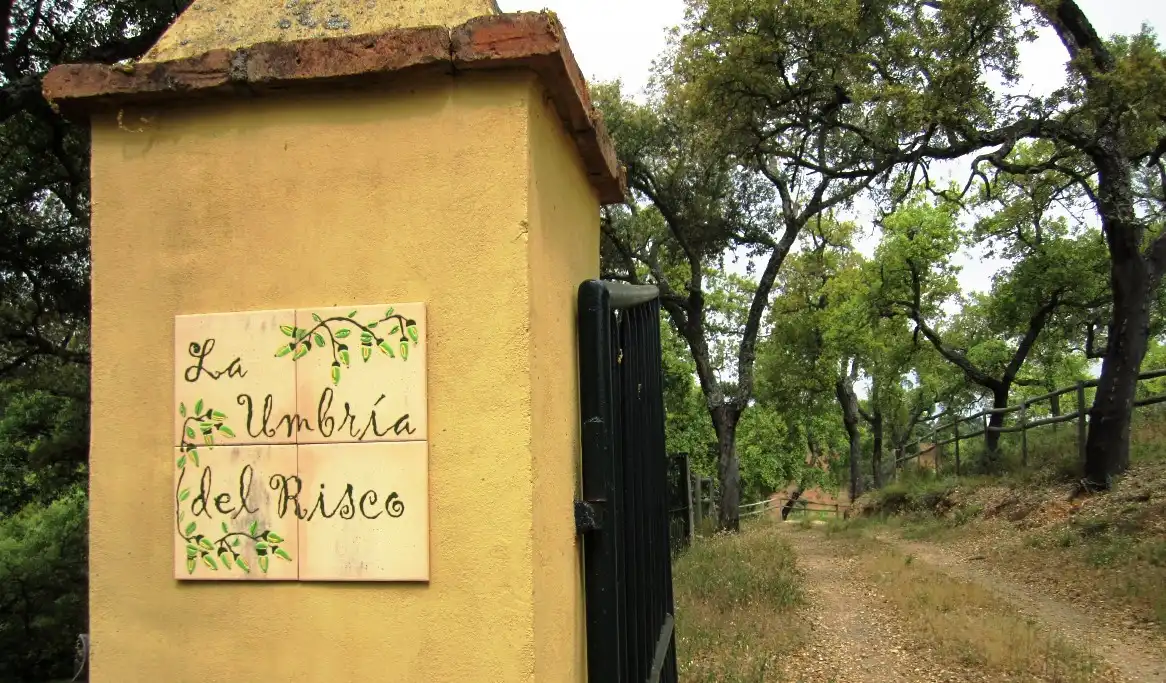 Vista exterior de Finca rústica en venta en Cortegana con Jardín privado, Terraza y Piscina