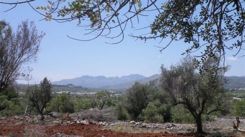 Parcela Rústica apta para la construcción de una vivienda unifamiliar en 2 plantas, imatge 3