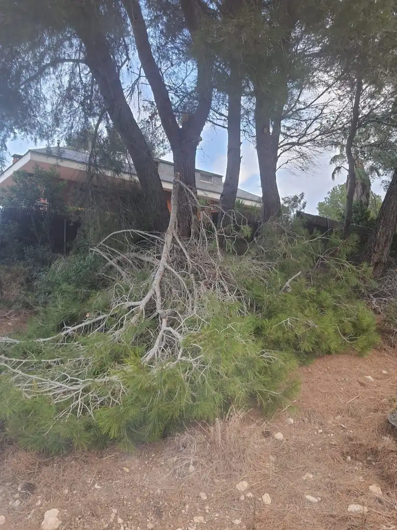 Grundstücke und Bauplätze zum Verkauf in Calafell Park, imagen 23