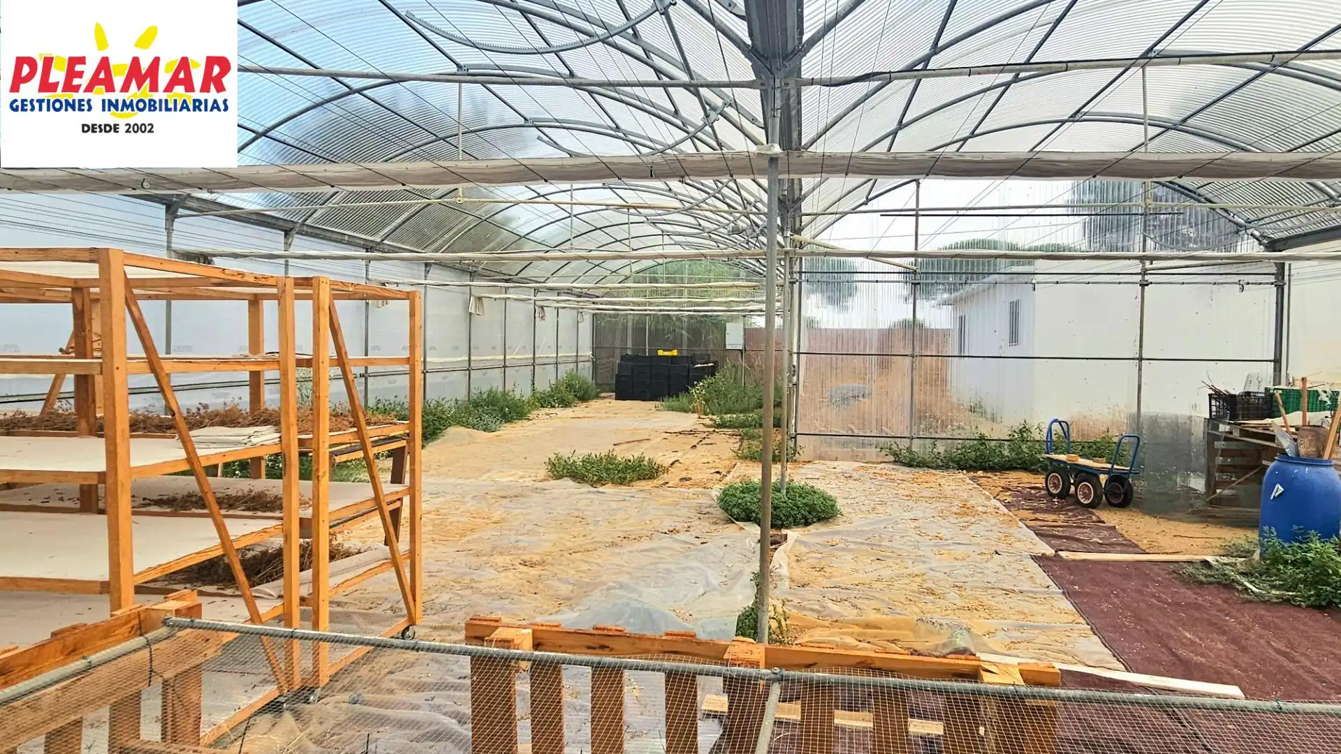 Casa rústica en venda a Las Tres Piedras - Costa Ballena, imagen 22