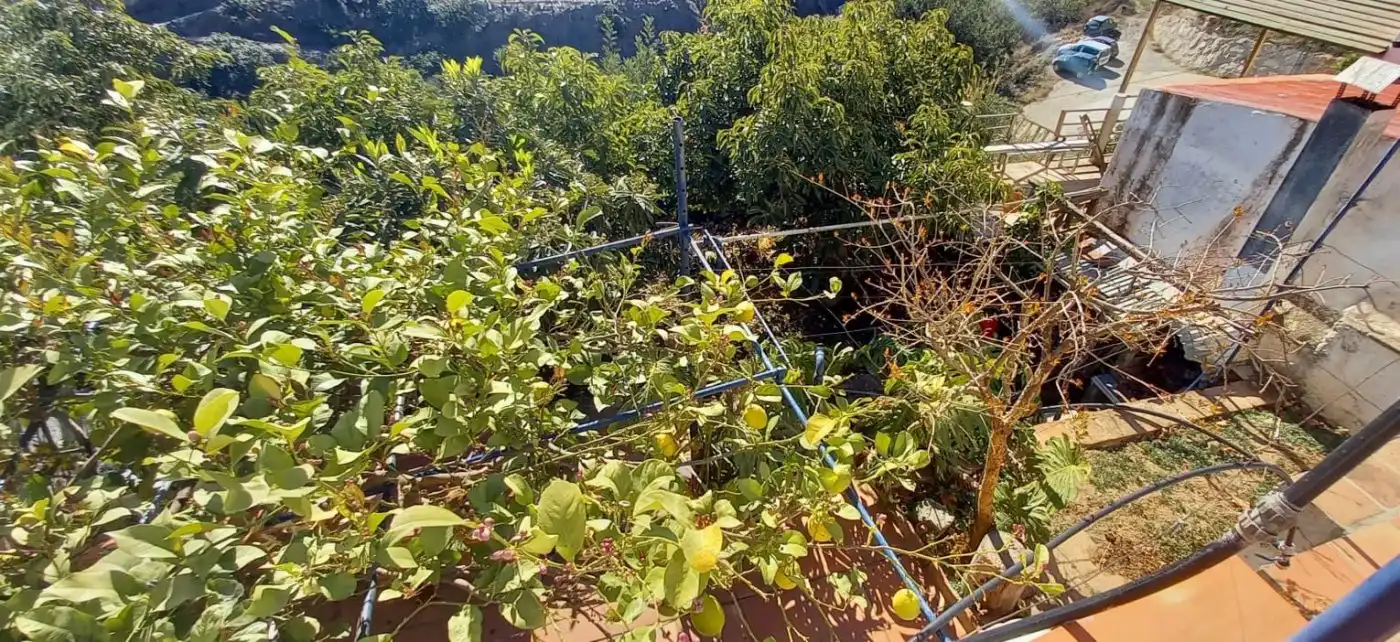 Country homes for sale in Cútar  with Private garden, Terrace and Storage room