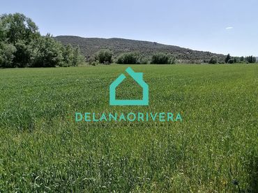 Terreno rustico in vendita a Calle Benito Torres 5